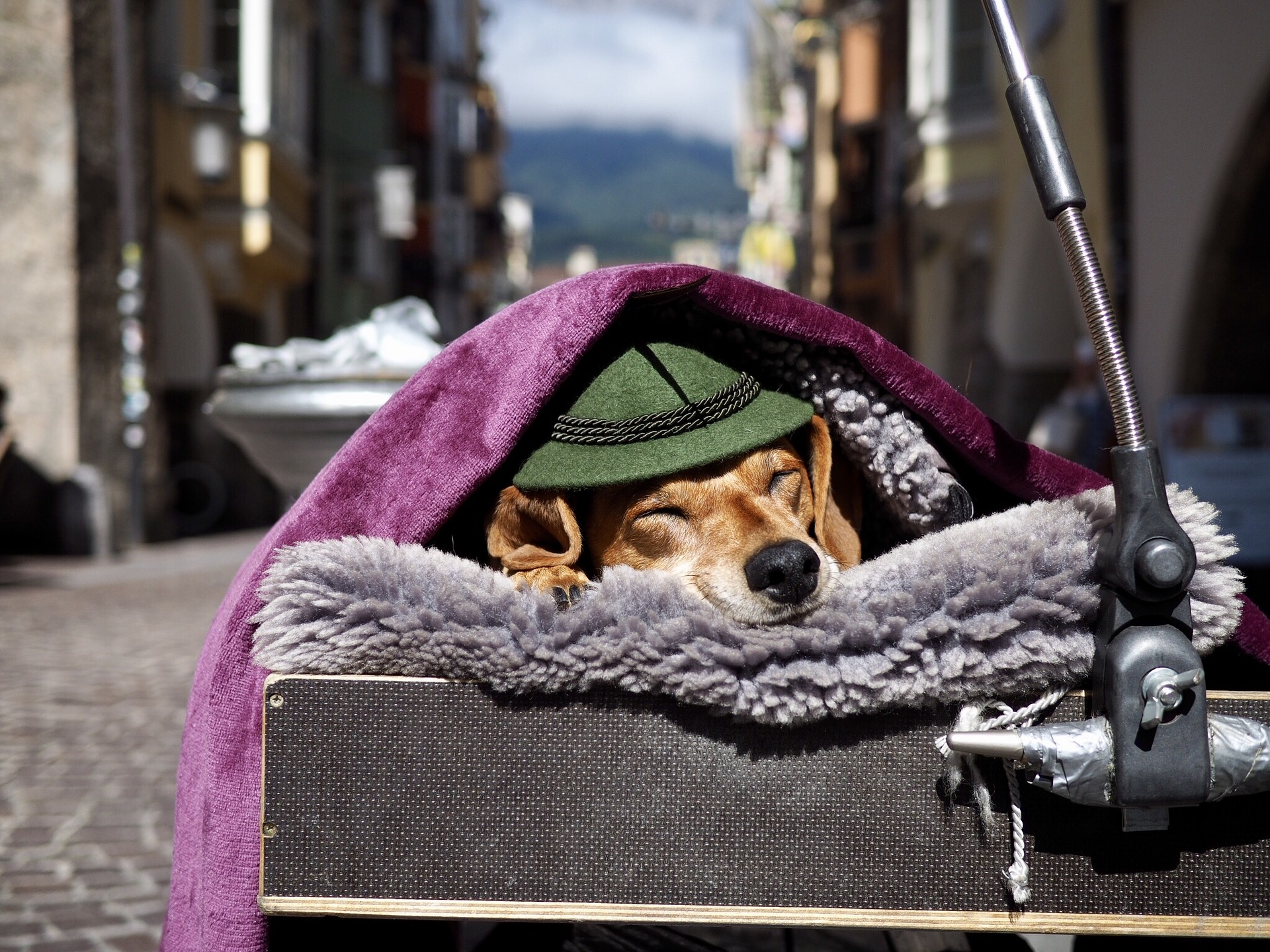 Innsbruck Altstadt Miniaturbild