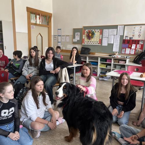 Partnerschule aus Riva