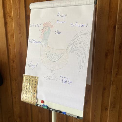 Ortnerhof Nikolsdorf