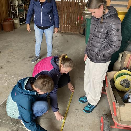 Ortnerhof Nikolsdorf