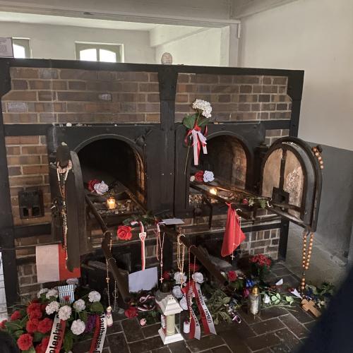 Österreichrundfahrt 24