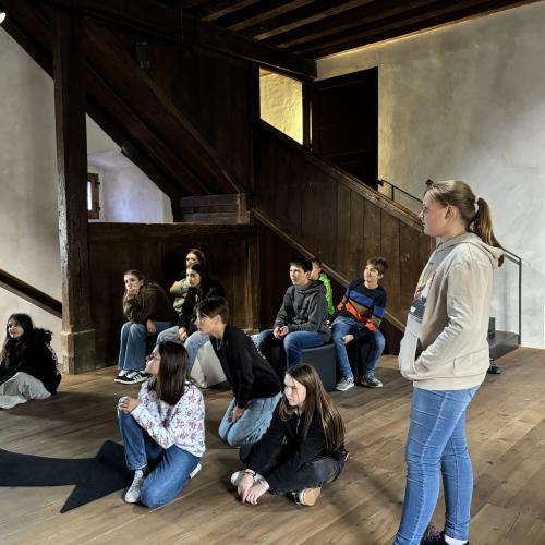 Schloss Bruck 3I 2024