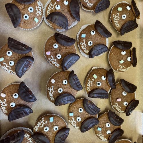 Lesespaß mit Fino 24