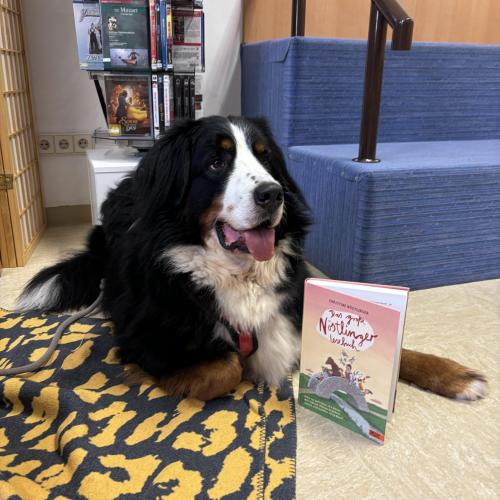 Lesespaß mit Fino 24