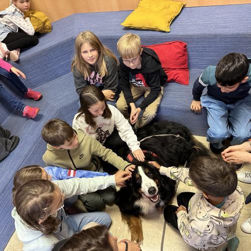 Lesespaß mit Fino 24