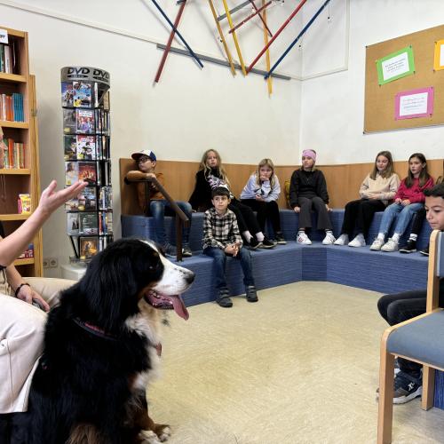 Lesespaß mit Fino 24