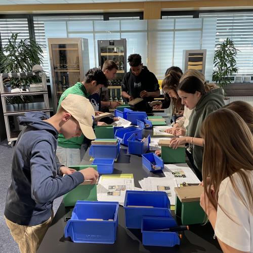 Exkursion Liebherr 24