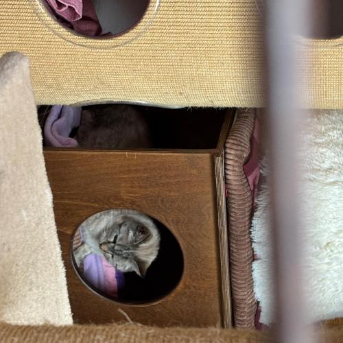 Besuch Tierheim 25
