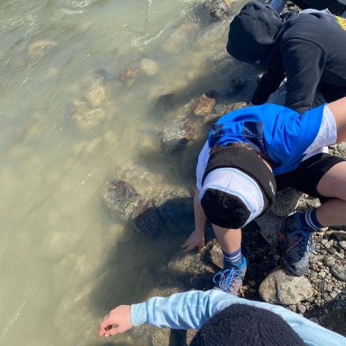 Wasserschule-1.Klassen