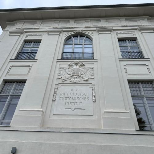 Kreativwoche Graz_3a_24-25