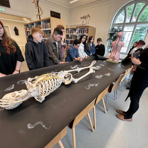 Kreativwoche Graz_3a_24-25