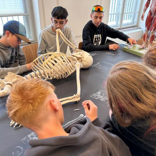 Kreativwoche Graz_3a_24-25