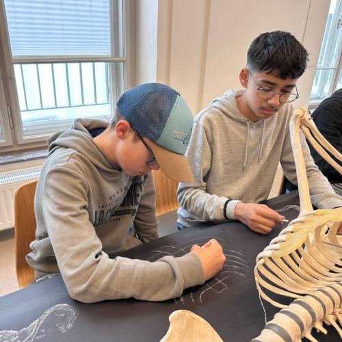 Kreativwoche Graz_3a_24-25