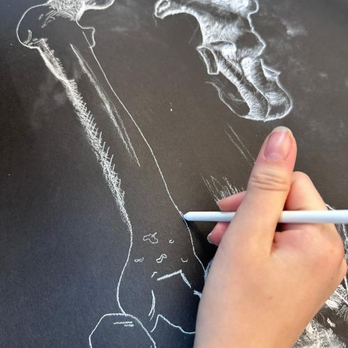 Kreativwoche Graz_3a_24-25