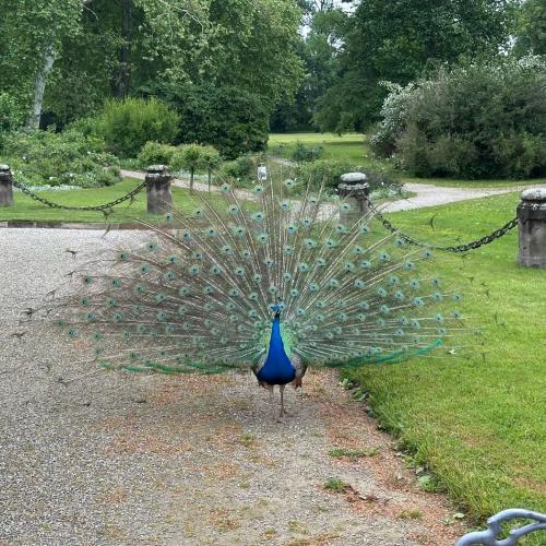 Kreativwoche Graz_3a_24-25