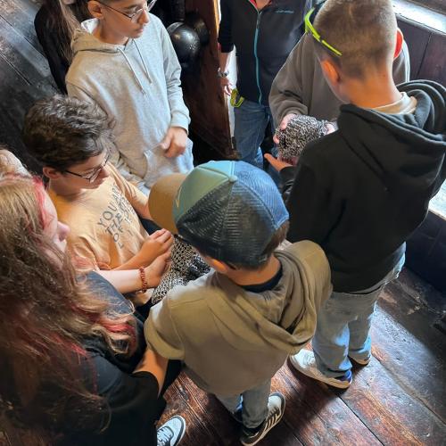 Kreativwoche Graz_3a_24-25