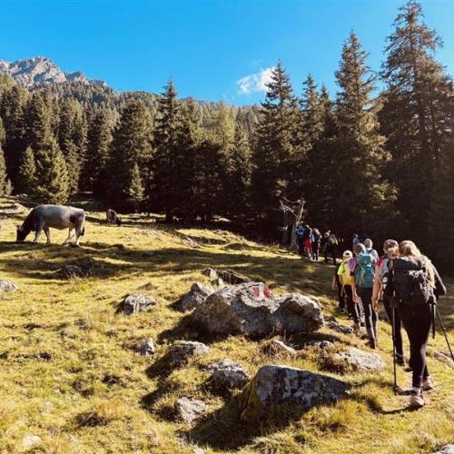 Wangenitzsee Nationalpark 3I 2025