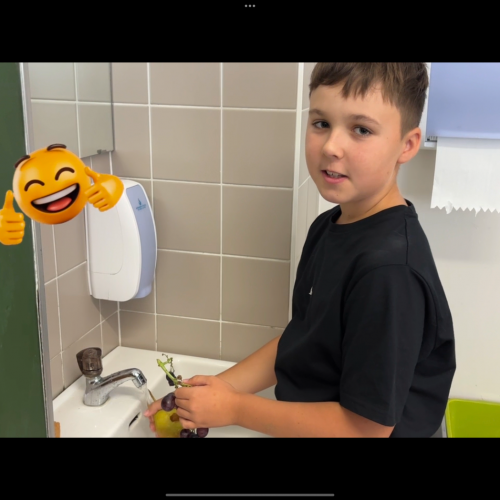 Vorgangsbeschreibung Waffeln Obstsalat 3I