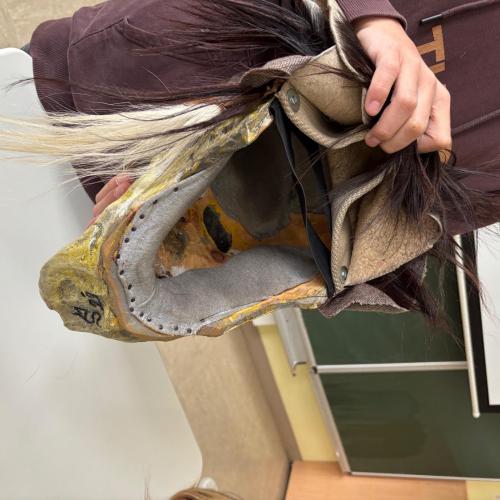 Brauchtum Krampus Klaubauf 25