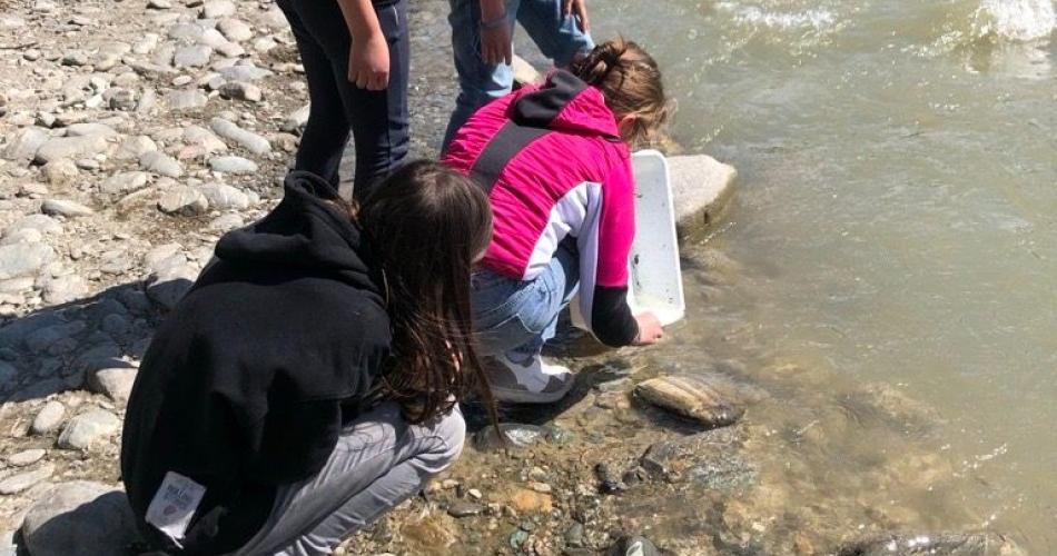 Wasserschule-1i